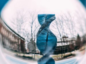 Antiitflammaging&Longevity Koçluk Eğitimi